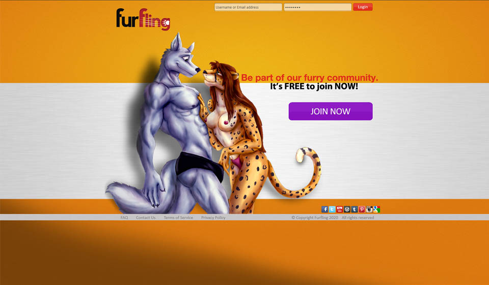 FurFling Review – What Do We Know About It?