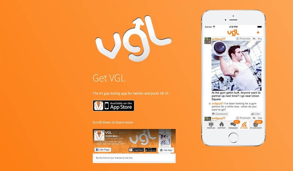 VGL Review – What Do We Know About It?