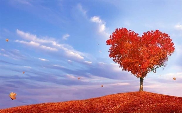 Come trovare l’amore questo autunno?