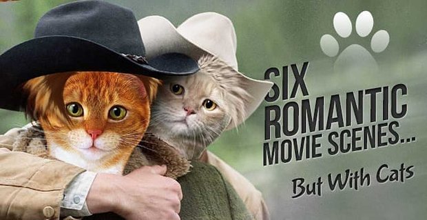 6 romantycznych scen filmowych, ale z kotami