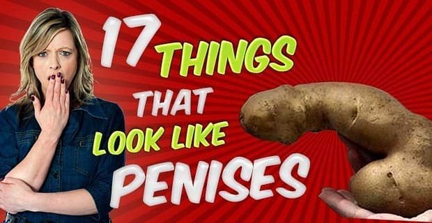 17 choses qui ressemblent à des pénis (mais n’en sont pas)