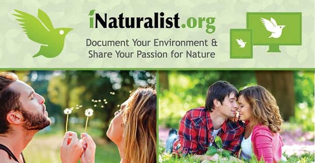 Doğaseverler Çevrelerini Belgelemek ve Tutkularını Paylaşmak İçin iNaturalist.org’da Bir Araya Geldi