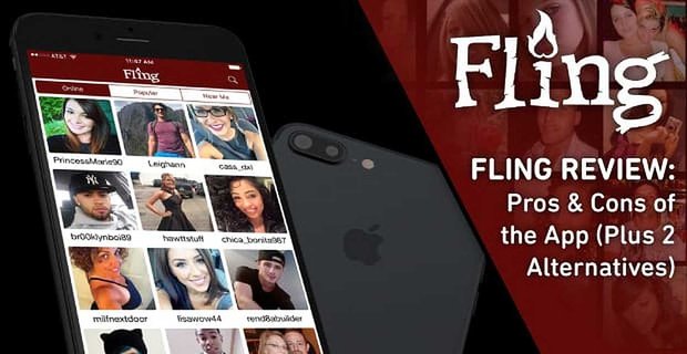 „Fling Review“ – Vor- und Nachteile der App (plus 2 Alternativen)