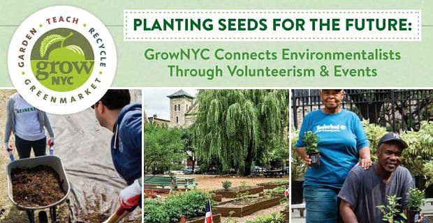 Piantare semi per il futuro: GrowNYC mette in contatto gli ambientalisti attraverso il volontariato e gli eventi