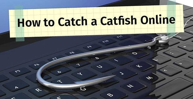 Çevrimiçi Yayın Balığı Nasıl Yakalanır: 17 Masal İşareti ve Yapılması Gerekenler