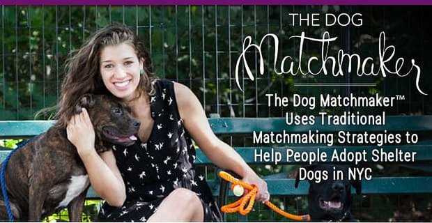 Dog Matchmaker wykorzystuje tradycyjne strategie swatania, aby pomóc ludziom adoptować psy schroniskowe w Nowym Jorku
