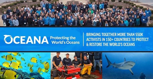 Oceana – Meer dan 550K-activisten in meer dan 150 landen samenbrengen om de oceanen van de wereld te beschermen en te herstellen
