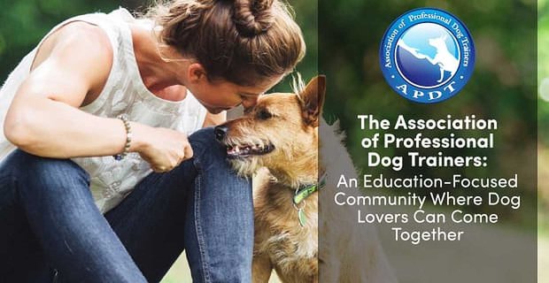 Stowarzyszenie profesjonalnych trenerów psów: społeczność skupiona na edukacji, w której miłośnicy psów mogą się spotykać
