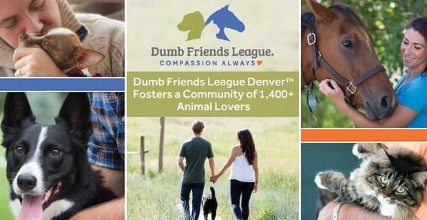 The Dumb Friends League Denver: un refugio de animales local fomenta una comunidad compasiva de más de 1.400 voluntarios