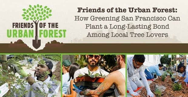 Friends of the Urban Forest: hoe vergroening van San Francisco een langdurige band kan smeden tussen lokale boomliefhebbers