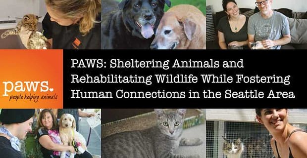 PAWS: Ukrývání zvířat a rehabilitace divoké zvěře při posilování lidských vazeb v oblasti Seattlu