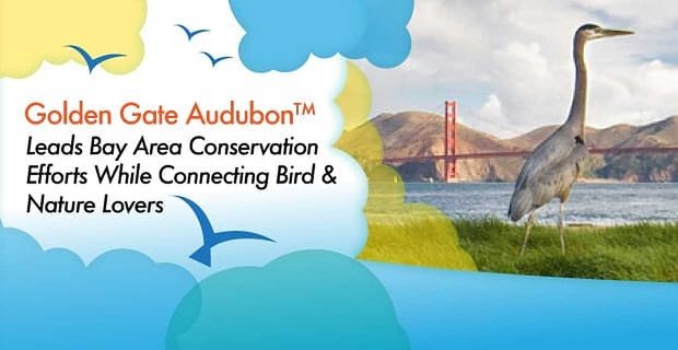 Golden Gate Audubon führt die Bemühungen zum Schutz der Bucht an und verbindet Vogel- und Naturliebhaber