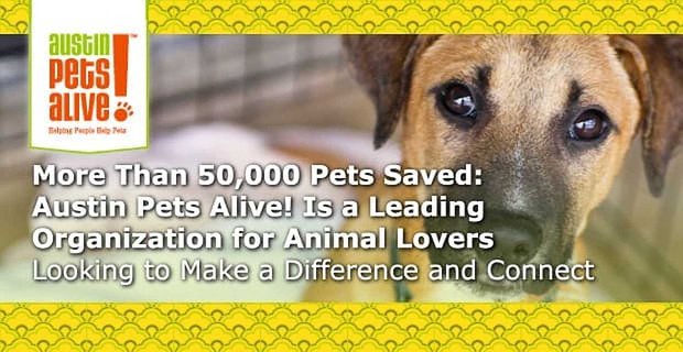 Uratowano ponad 50 000 zwierząt: Austin Pets Alive! to wiodąca organizacja dla miłośników zwierząt, którzy chcą zmienić świat i nawiązać kontakt