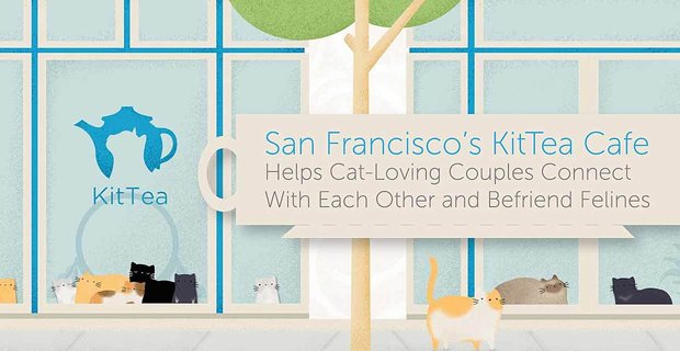 El KitTea Cafe de San Francisco ayuda a las parejas amantes de los gatos a conectarse entre sí y hacerse amigos de los felinos