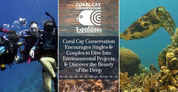 Coral Cay Conservation incoraggia single e coppie a tuffarsi in progetti ambientali e scoprire la bellezza del profondo