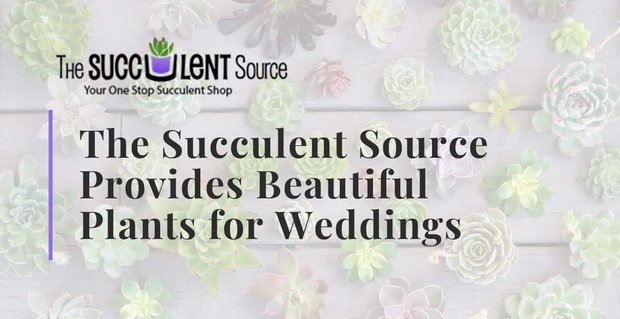 The Succulent Source is een familiebedrijf dat prachtige planten levert voor bruiloften, douches en evenementen
