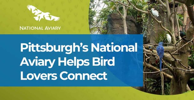 El aviario nacional de Pittsburgh ofrece a los amantes de las aves un lugar de citas único